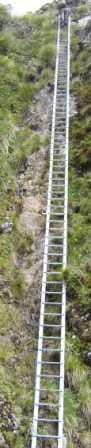 Tararua ladder